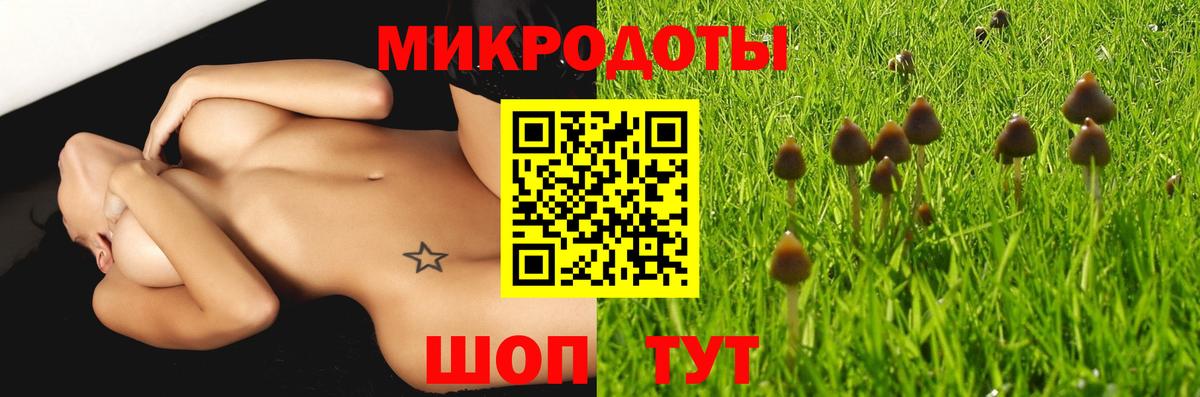 Псилоцибиновые грибы MAGIC MUSHROOMS Белово