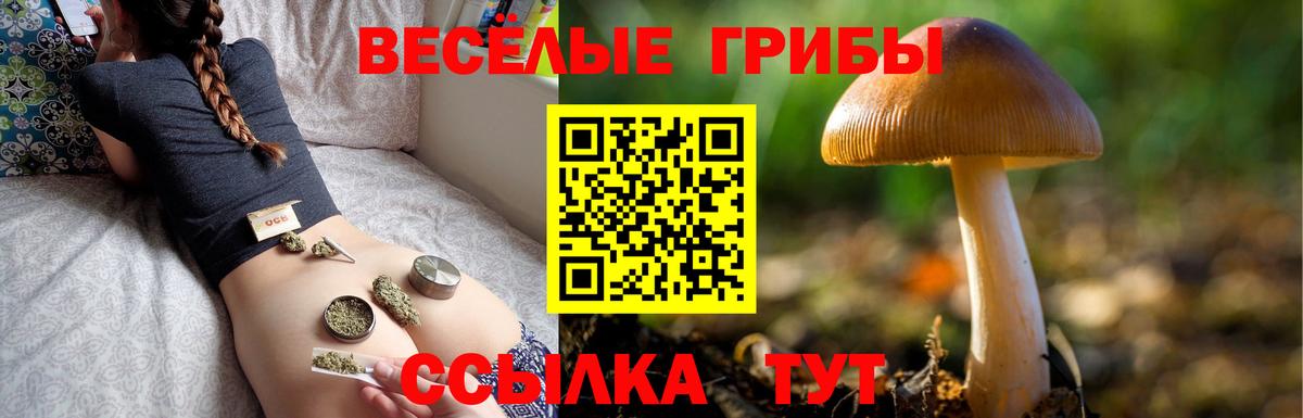 Белово  закладки  Вход с VPN  Галлюциногенные грибы Cubensis 
